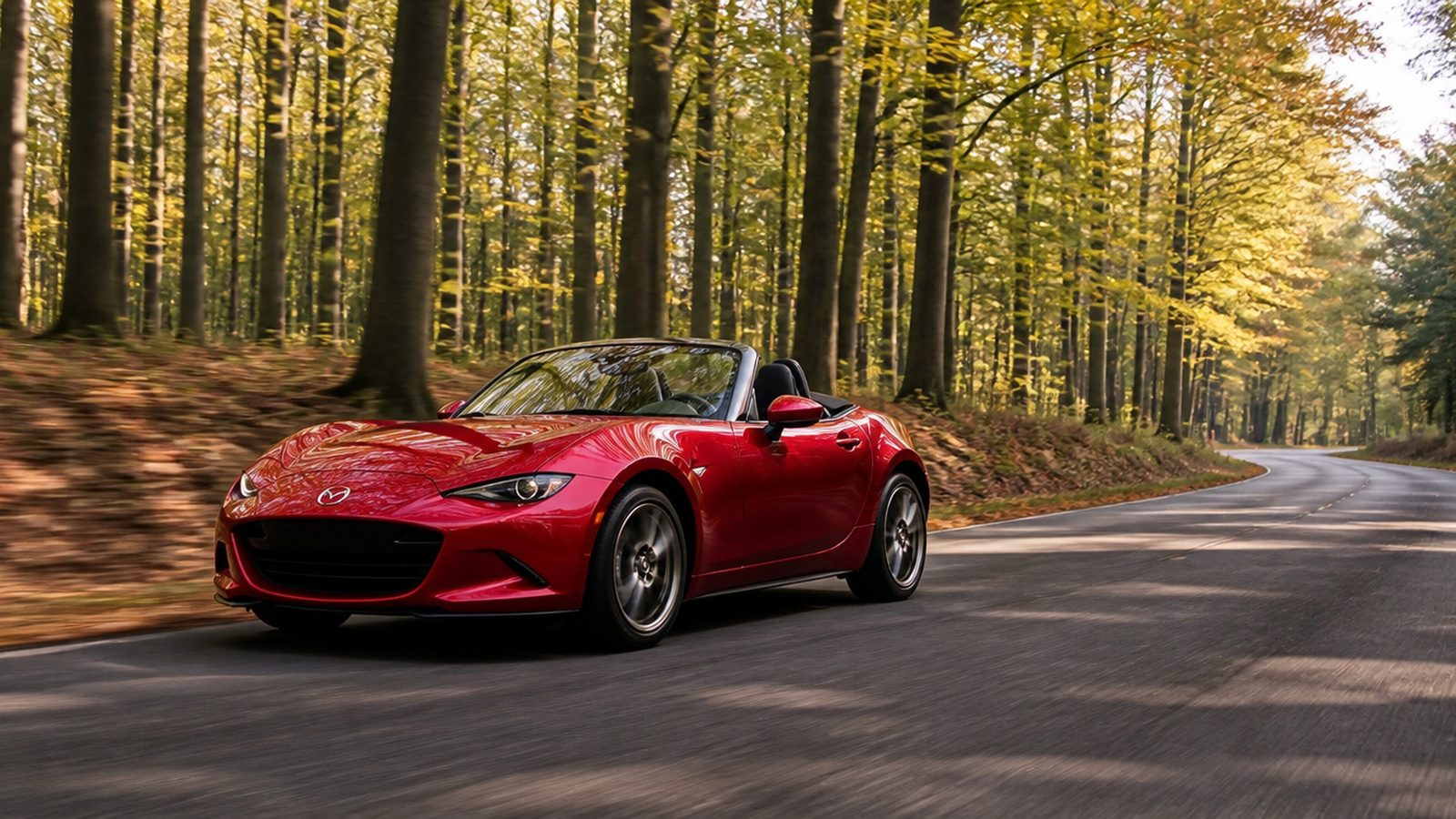 De MX-5 met open dak op een bosweg (beeld van het model)